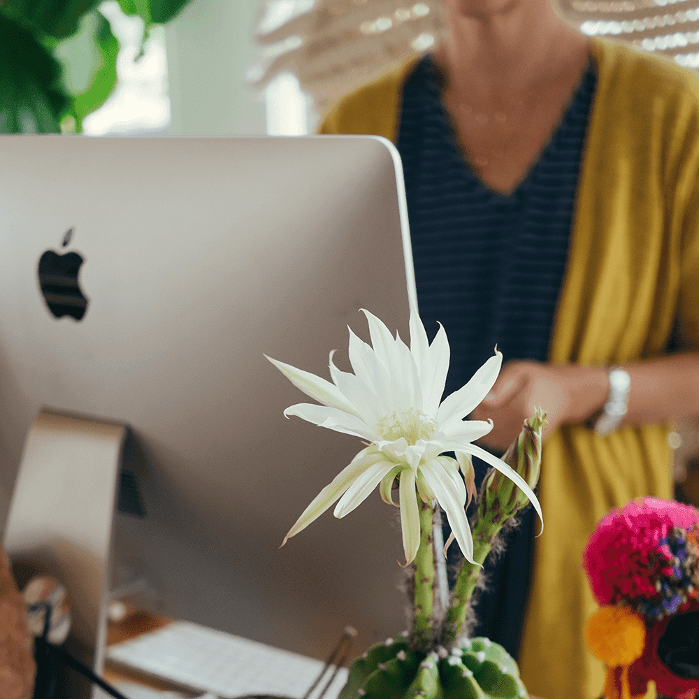 freelance web designer 